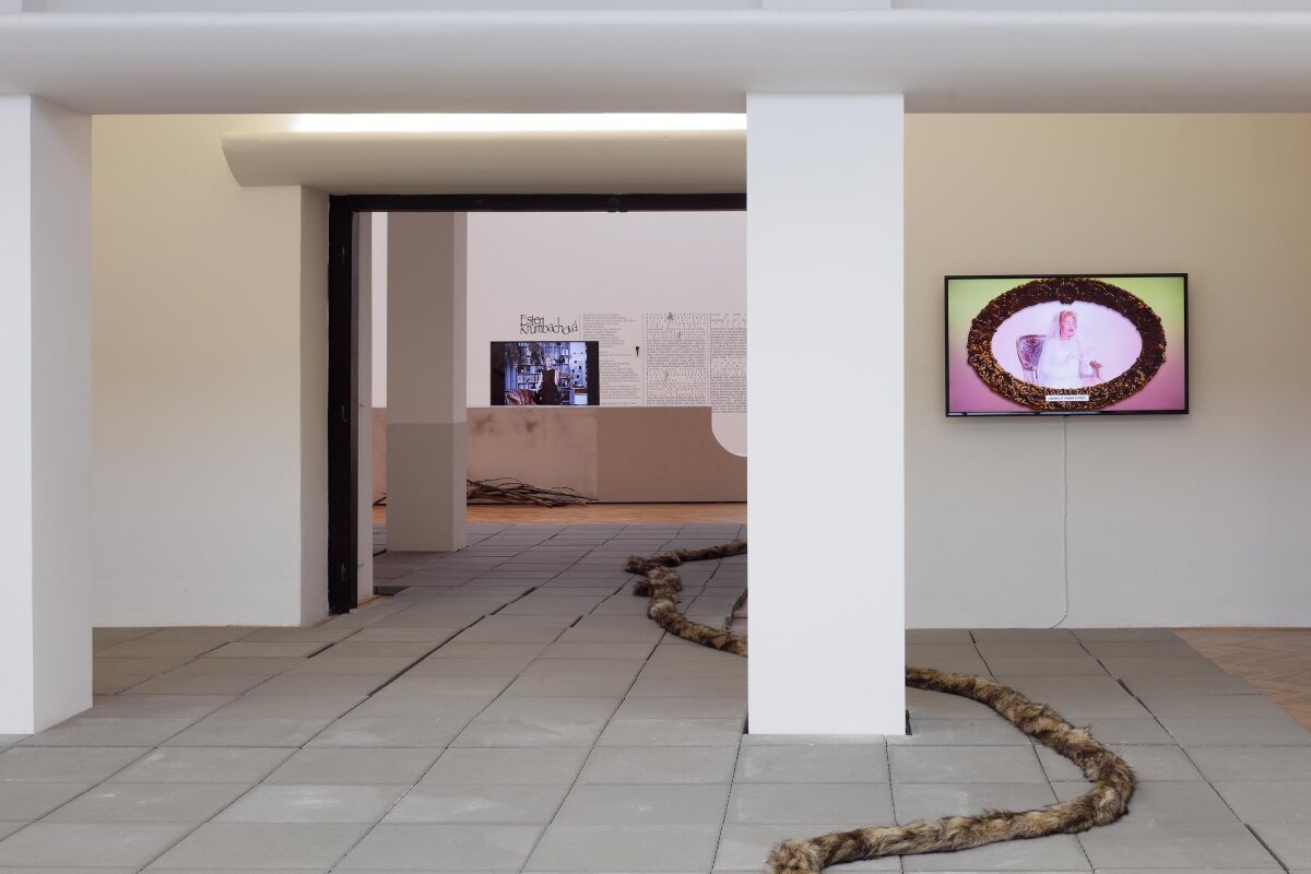 Exhibition talk and performance